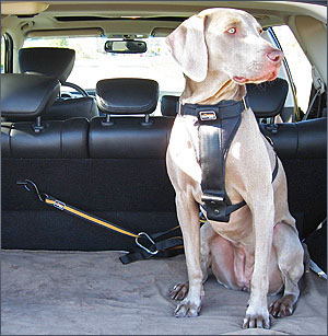 Транспортировка собаки - kurgo-dog-2.jpg